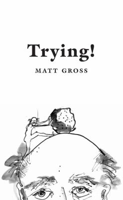 Trying! : Eleven Attempts to Make Sense of Our World