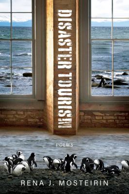 Disaster Tourism