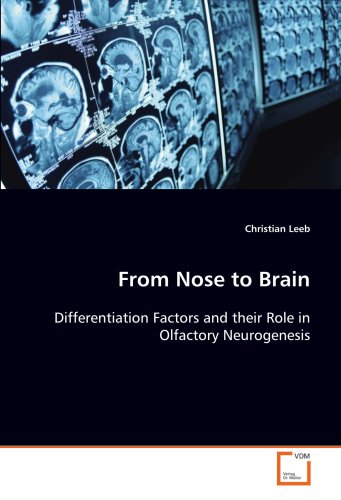 From Nose to Brain : Differentiation Factors and their Role in OlfactoryNeurogenesis