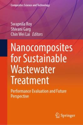 Nanocomposites for Sustainable Wastewater Treatment : Performance Evaluation and Future Perspective
